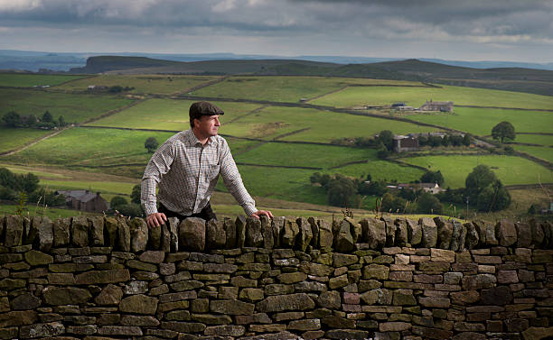 uk farmer hill farmer looking across the landscape flat cap stock pictures, royalty-free photos & images