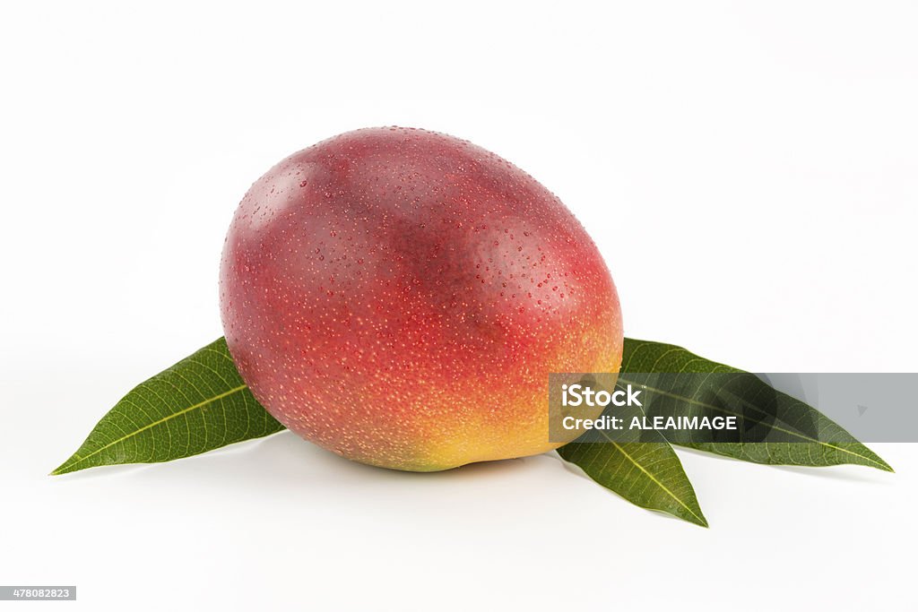 Mango - 로열티 프리 0명 스톡 사진