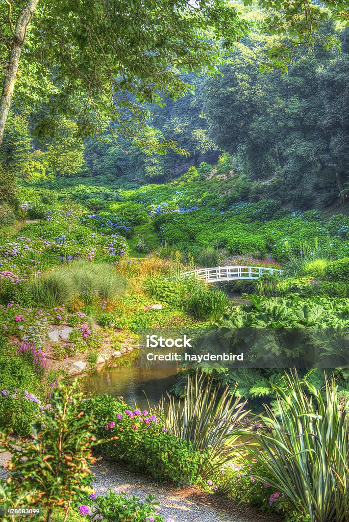Imagem HDR Enfeitado de ponte, Vale de árvores e flores - Royalty-free Beleza Foto de stock