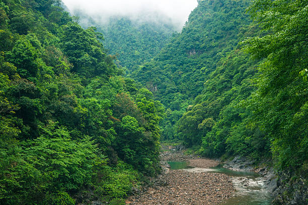 istock creek in the canyon 478087563