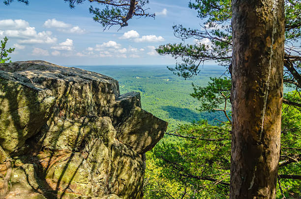 istock beautiful aerial landscape views from crowders mountain north ca 478090023