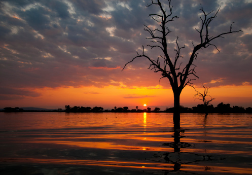 sunset on the lake manze in tanzania - boat safari in the national park selous game reserve