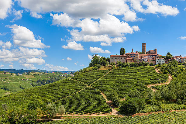 Small town on the hill. Samll town on the hill with green vineyards under blue sky with white clouds in Piedmont, Northern Italy. langhe photos stock pictures, royalty-free photos & images
