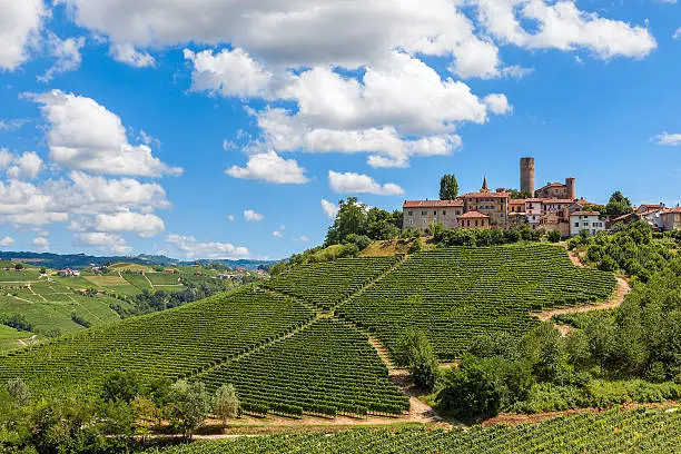 Samll town on the hill with green vineyards under blue sky with white clouds in Piedmont, Northern Italy.