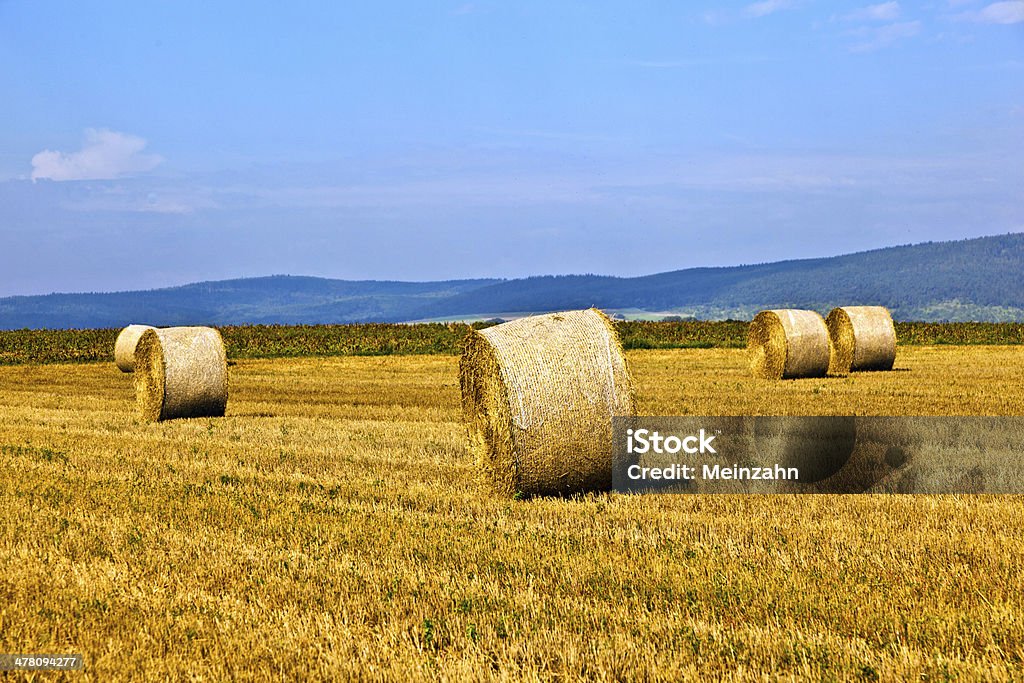 Bala de paja en campo - Foto de stock de Agricultura libre de derechos
