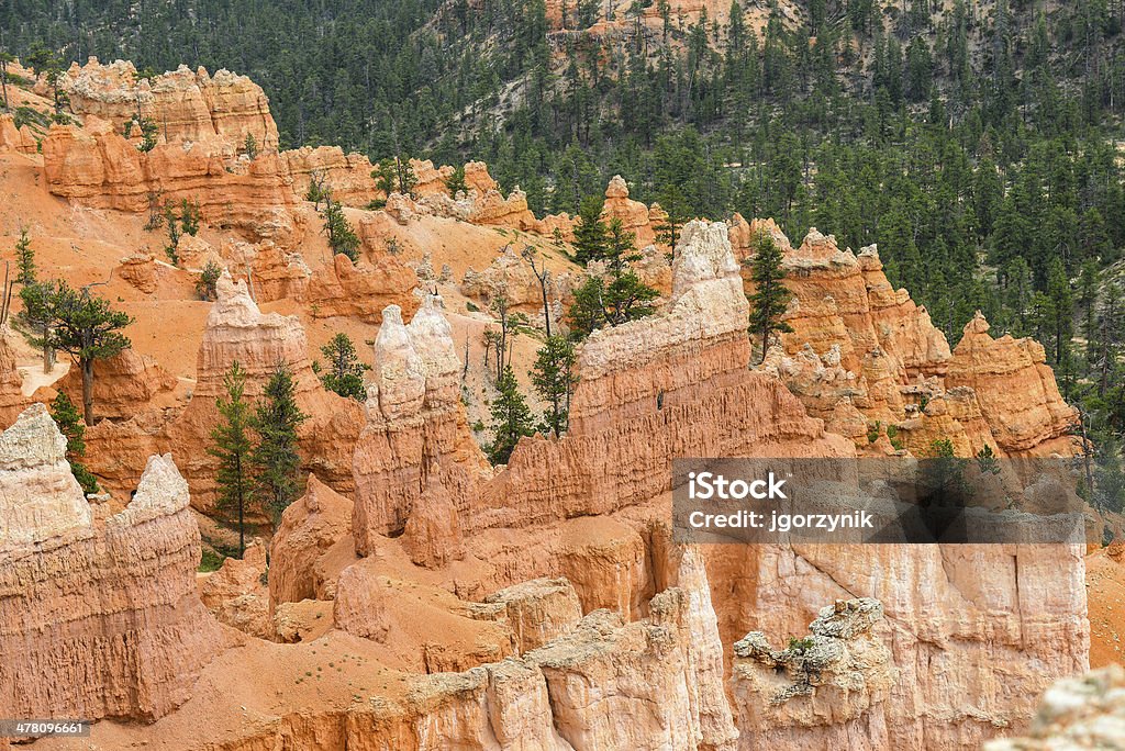 Bryce Canyon - Foto de stock de Bryce Canyon royalty-free