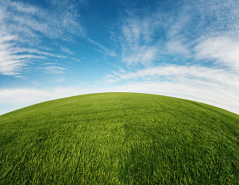 A lush green field stretches into the distance.  Fish eye, panoramic view.