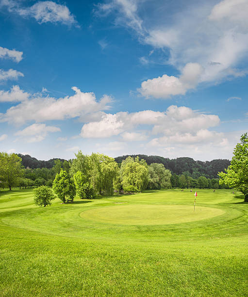 istock Golf course landscape. Field with green grass, trees, blue sky 478097568