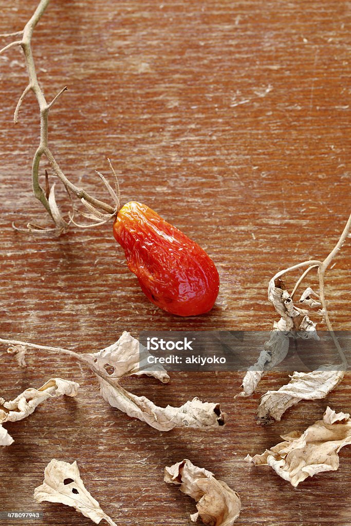 mini Pomodoro secco - Foto stock royalty-free di Cibo