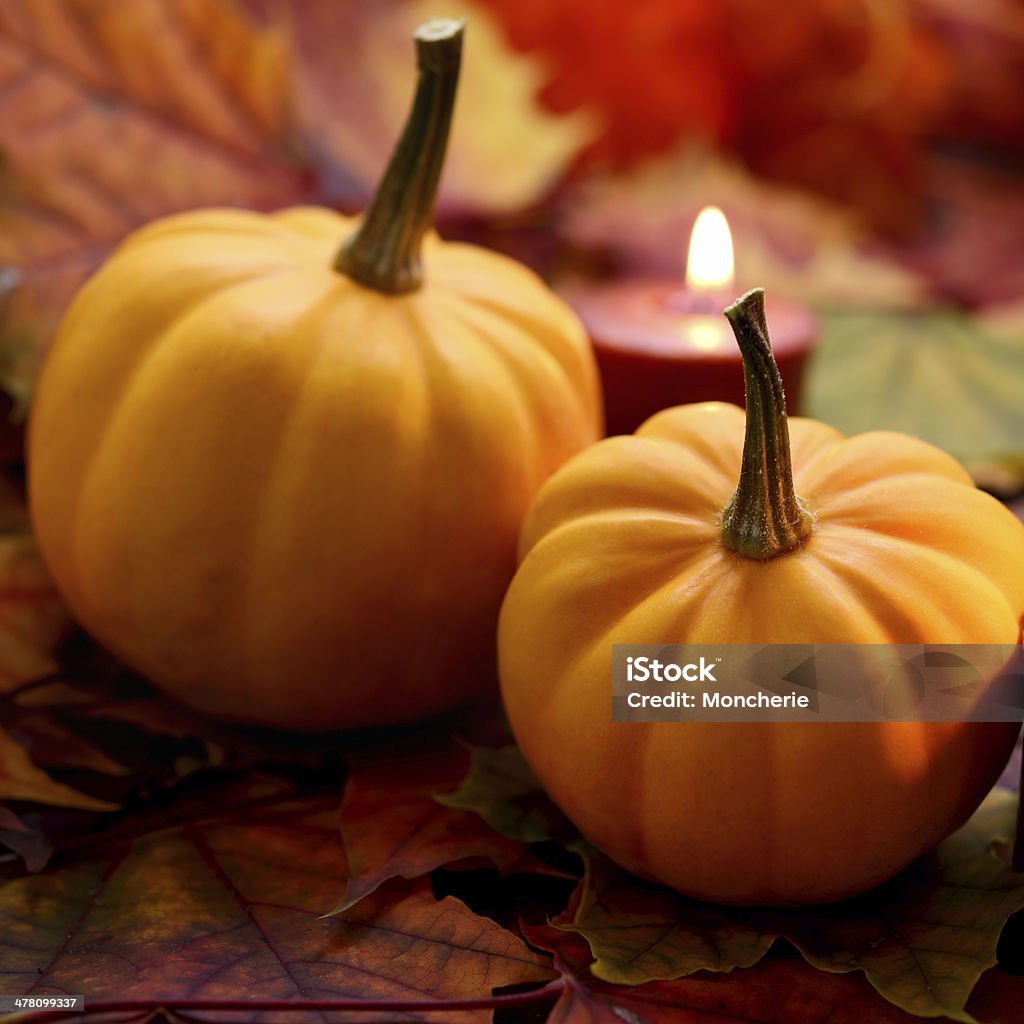 Jesień Dekoracja z dyni i suchość liście klonu - Zbiór zdjęć royalty-free (Bez ludzi)
