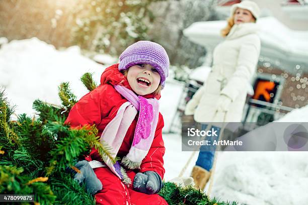 Carregar Árvore De Natal Para Casa - Fotografias de stock e mais imagens de Adulto - Adulto, Alegria, Amizade