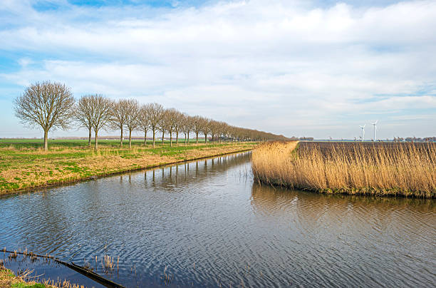 istock Canal through a rural landscape in winter 478100073