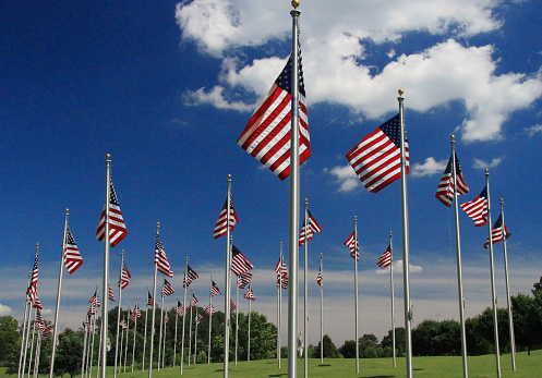 The American Flag displayed proudly in this field of U.S. Flags.