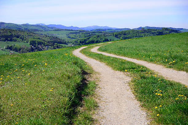 trilha para caminhada - mountain austria street footpath - fotografias e filmes do acervo