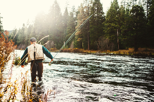 A fly fisherman wades upstream as he holds his line in a beautiful stretch of the Metolius River, a tributary of the Deschutes River in Oregon state.  Horizontal image with the fisherman and pole off-centered to the left side of the frame; copy space.
