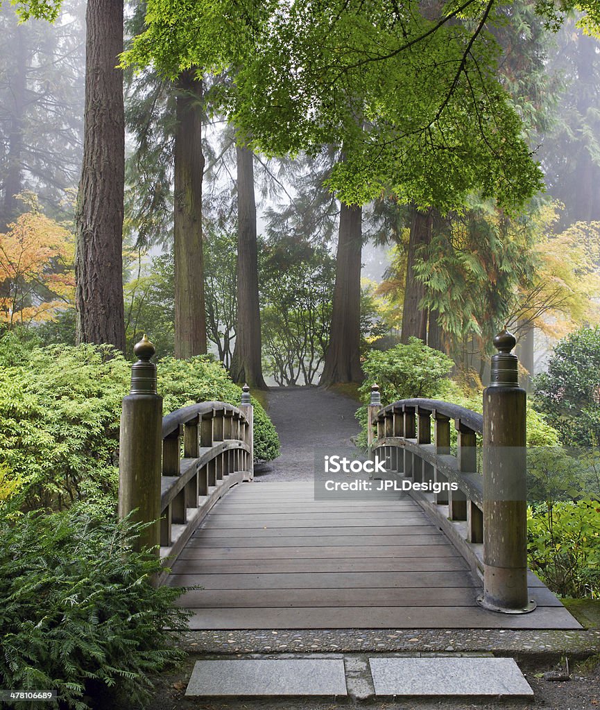 Foggy Morning at Wooden Foot Bridge in Japanese Garden Foggy Morning by Wooden Foot Bridge at Japanese Garden in Autumn Architecture Stock Photo