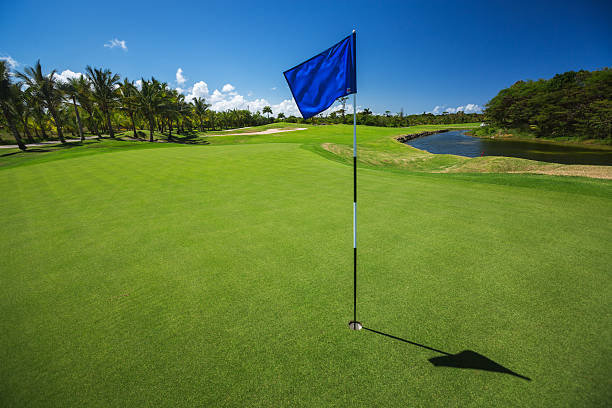 tropische landschaft von einem golf court mit palmen - golfplatz green stock-fotos und bilder