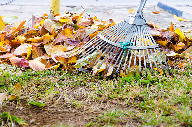 istock Pile of fall leaves with fan rake on lawn 478107972