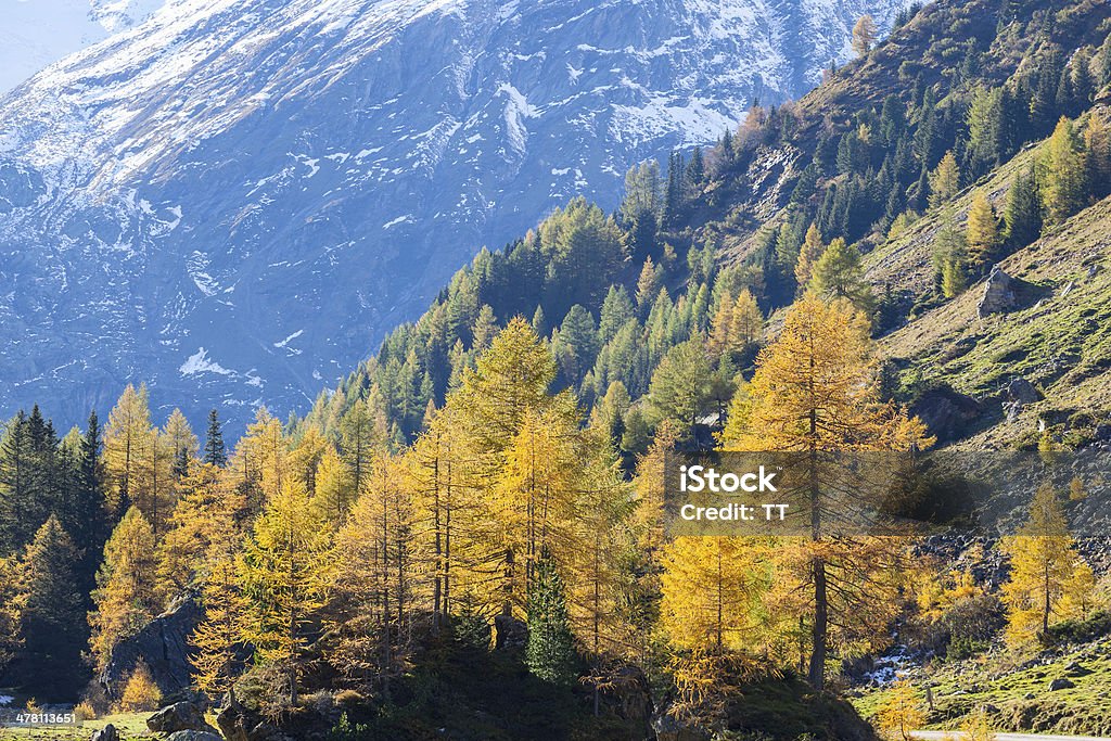 Alp outono paisagem - Foto de stock de Alpes europeus royalty-free
