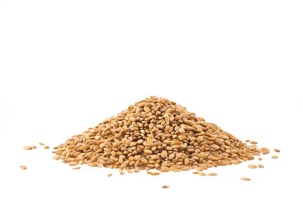 Photo of Spelt heap isolated on white