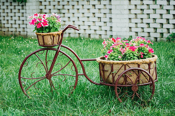 istock Decorative Vintage Model Old Bicycle Equipped Basket Flowers Gar 478113828