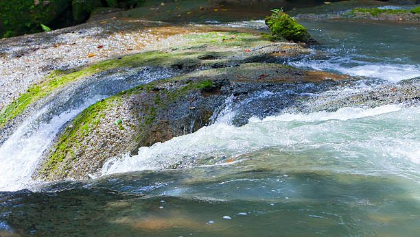 istock The small river with thresholds in  tropical nature 478114536