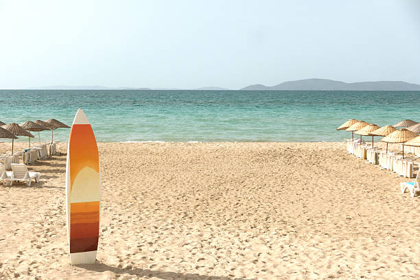 istock empty beach with wooden sun shades and surf board 478116822