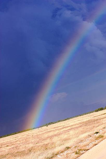 istock Rainbow in the Etosha National Park Namibia 478118102