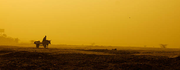 Man on bullock cart/ Ox Cart going to work through a artistic landscape.