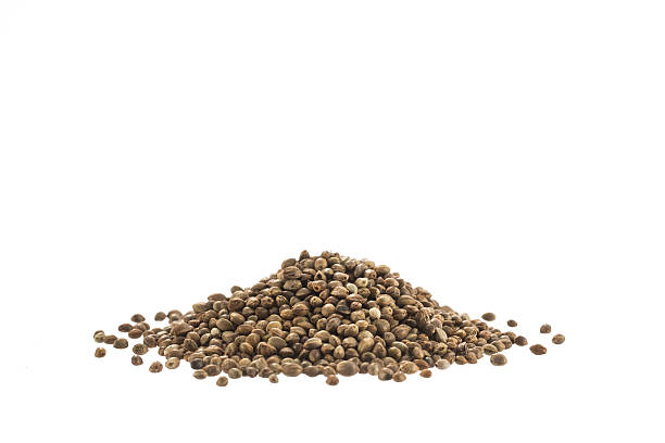 istock Cannabis Hemp seeds close up macro shot isolated on white 478120990