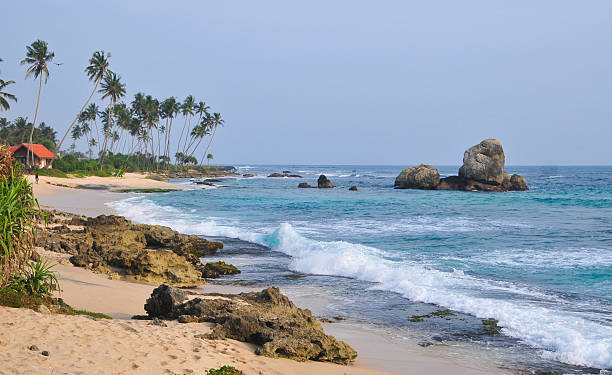 istock Beach with white sand and palm trees 478120994