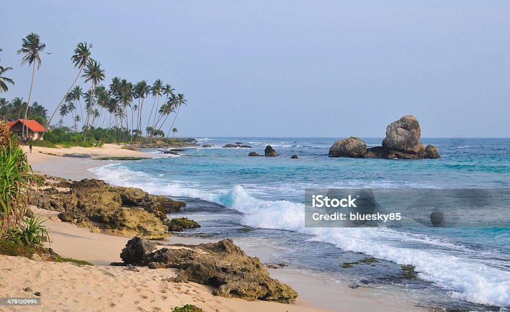 Beach with white sand and palm trees Amazing view of Sri Lanka beach with white sand and beautiful exotic palm trees Caiman Stock Photo