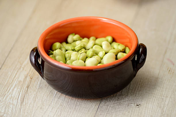 種子の豆、テラコッタのボウル - broad bean bean bowl brown ストックフォトと画像