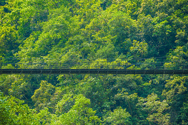 The famous Baishihu Suspension Bridge, Neihu district, Taiwan