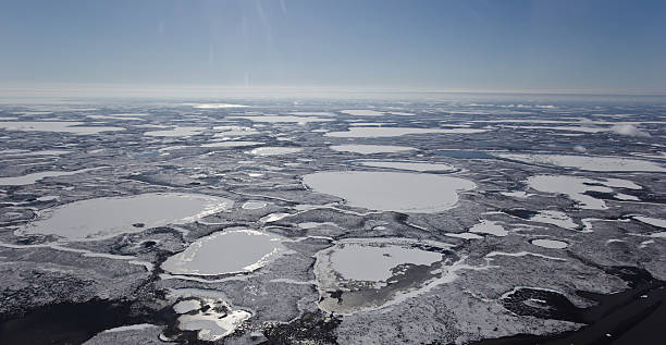 Photo of Frozen Mackenzie River Delta, NWT, Canada