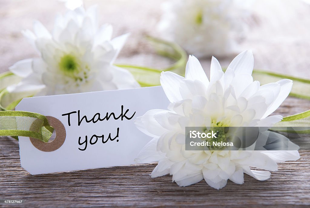 Label with Thank you White Label with Thank You and white Blossoms Blossom Stock Photo