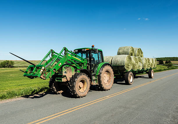 transporting green grass for farm