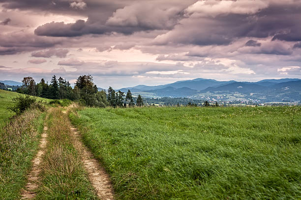 Island Beskids, Poland Path in the mountains pasture, Island Beskids, Skawa village, Poland beskid mountains photos stock pictures, royalty-free photos & images