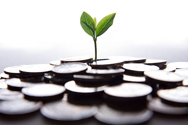istock Young Plant Growing In Coins 478134544