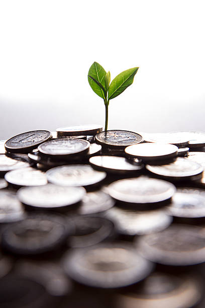istock Young Plant Growing In Coins 478134546