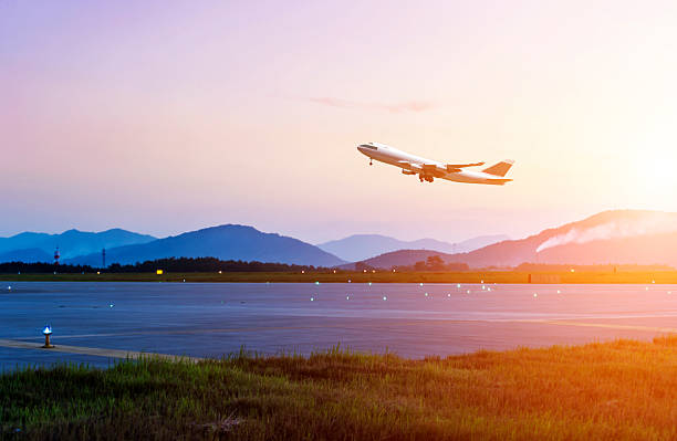 승객 버즘 플라이에는 경과하면서 이륙 런웨이 - airport runway airplane commercial airplane 뉴스 사진 이미지