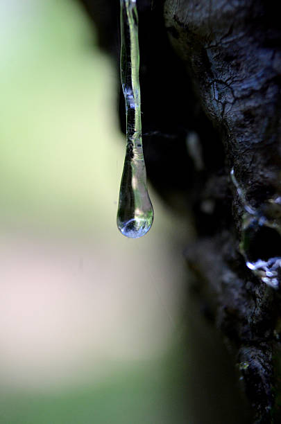 istock Drop of fresh resin 478134656