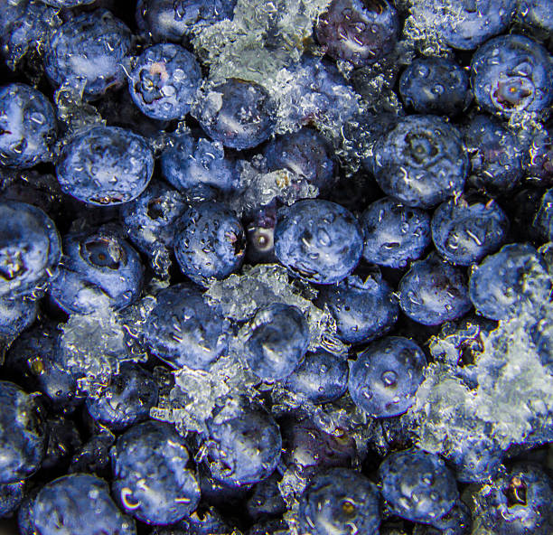 Blueberries on Ice stock photo