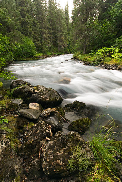 vencedor creek, girdwood, alasca - girdwood - fotografias e filmes do acervo