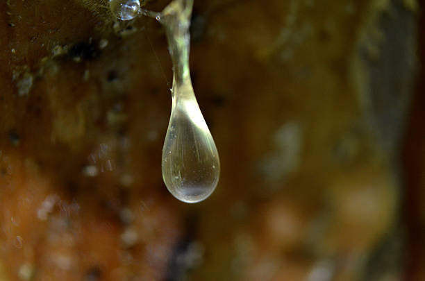 istock Drop of fresh resin 478137736