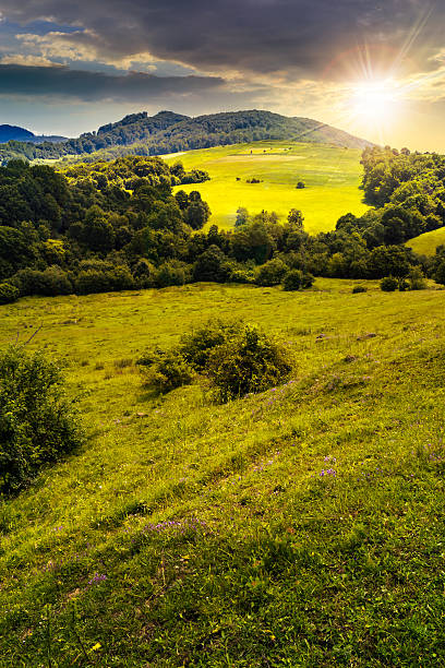 istock agricultural field on hillside meadow at sunset 478138224