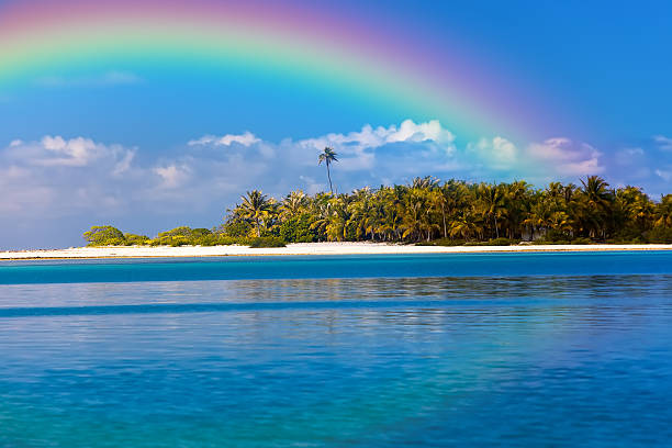 istock tropical island with palm trees in  ocean and  rainbow 478140850