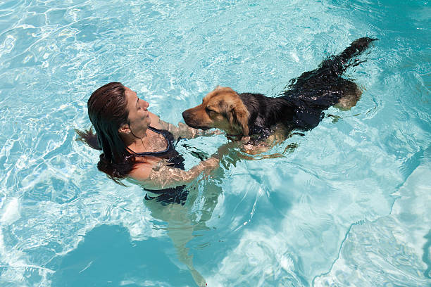istock Woman Swimming With Dog 478142112