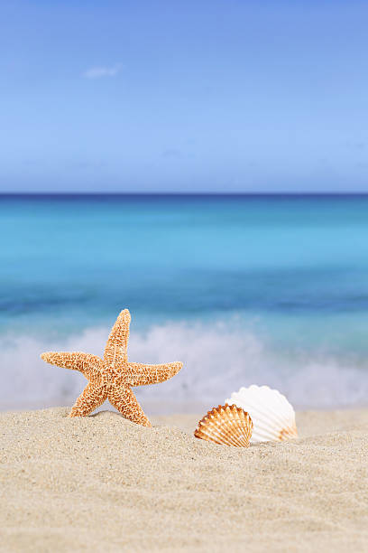 istock Beach background scene in summer vacation holidays with sea copyspace 478144570