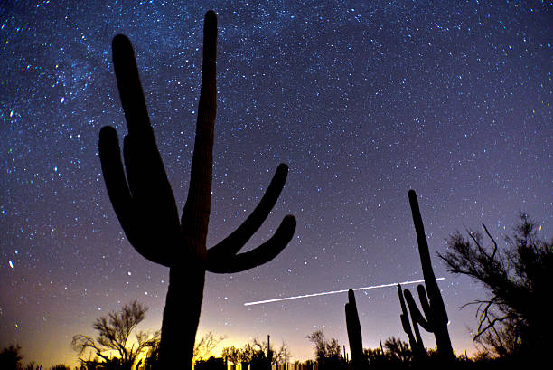 sonora night sky - sonoran desert desert arizona saguaro cactus zdjęcia i obrazy z banku zdjęć